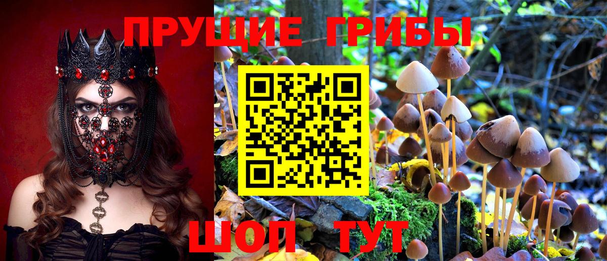 Галлюциногенные грибы Cubensis Краснокамск